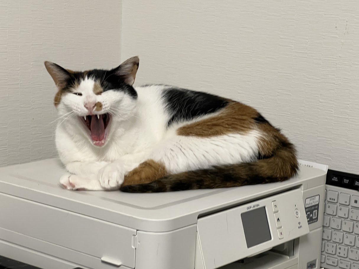 �傠���тȂ݂���